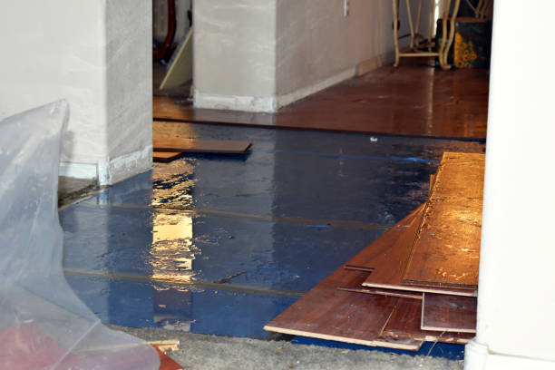 Professional Sewage Cleanup technician working in Townsend, WI
